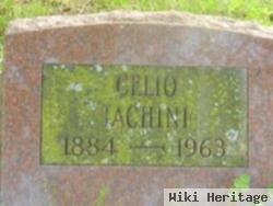 Celio Iachini