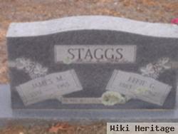 James Mitchel Staggs