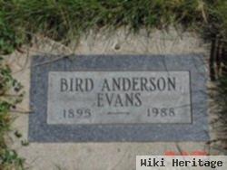 Bird Anderson Evans