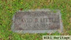 David B Little