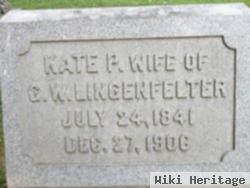 Kate P Lingenfelter