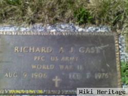 Richard A J Gast