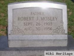 Robert J Mosley