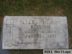 Elizabeth Ann "lizzie" Paetzold Koenig