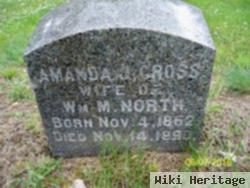Amanda J. Cross North
