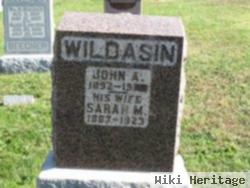 John A Wildasin