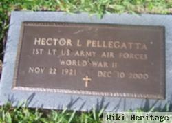 Hector L Pellagatta