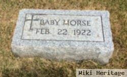 Baby Morse