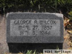 George Albert Wilcox