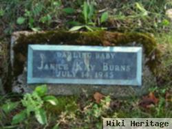 Janice Kay Burns