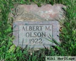 Albert M Olson