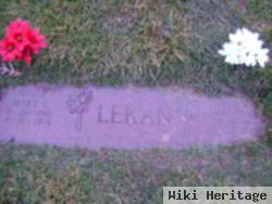 Frances Ann Perko Lekan