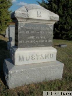 Thomas Mustard