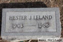 Mary Hester Jones Leland