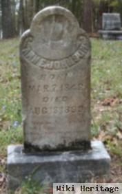 Ann Elizabeth "annie" Mcmanus Johnson