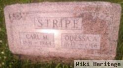 Odessa Ann Sheets Stripe