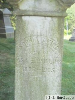 Sophia Akins Phillips