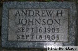 Andrew Henry Johnson