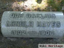 Arnold A Hayes