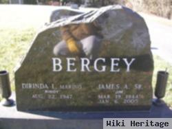 James A. Bergey, Sr