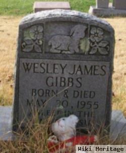 Wesley James Gibbs