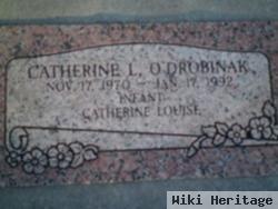 Catherine L O'drobinak