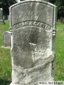 Sarah Ann Brown Carter