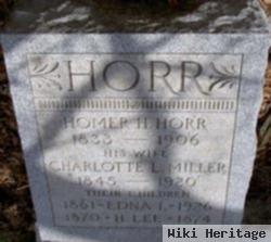 Henry Lee Horr