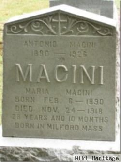 Antonio Macini