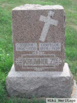 Joseph Krumholz