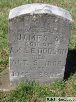 James A Dodson