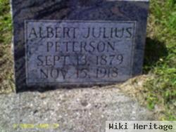 Albert Julius Peterson