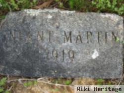 Infant Martin