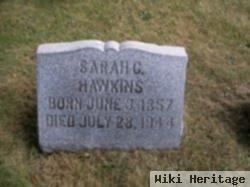 Sarah C Hawkins