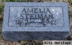 Amelia Ann Wayman Steinman