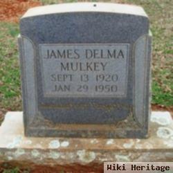 James Delma Mulkey