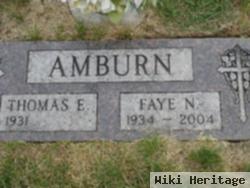 Faye N. Amburn