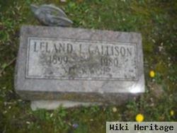 Leland Irwin Callison