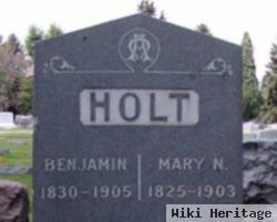 Mary N Holt