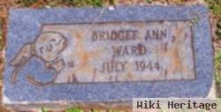 Bridget Ann Ward