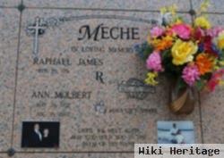 Ann Molbert Meche