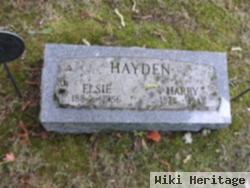 Harry Hayden