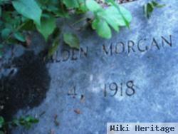 Helen Walden Morgan