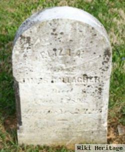 Eliza Ann Lauver Gallagher